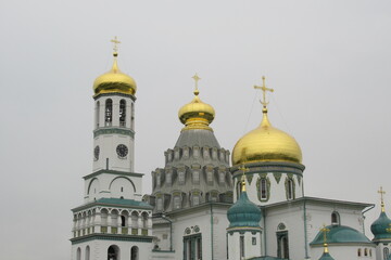 Fototapeta na wymiar Russia, Moscow region, New-Jerusalem Monastery, July 2020 (81)