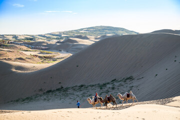 visitors riding camels in XiangshaWan, or Singing sand Bay, in hobq or kubuqi desert, Inner...