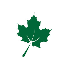 Maple leaf canadian icon