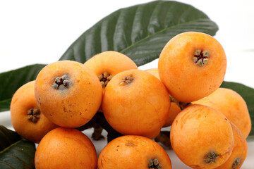 白い背景にビワ