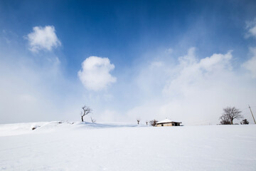 snow-covered landscape