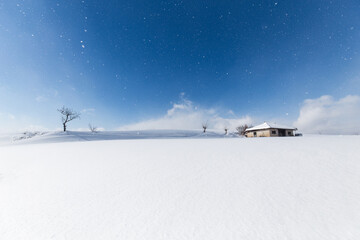 snow-covered landscape