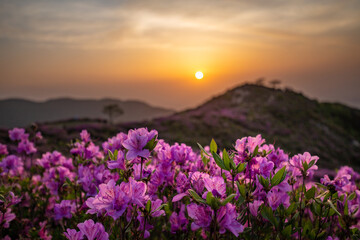 sunrise in the mountains