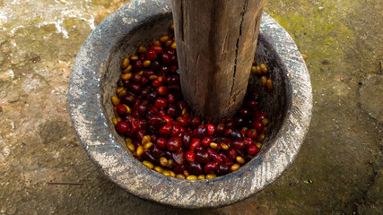 Traditional way of mashing coffee beans that are done by coffee farmers in Indonesia.