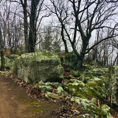 Rocks on hiking trail