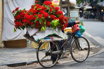 Fototapeta na wymiar Vietnamese lady flower seller in the old quarter of Hanoi, selling red flowers from the back of her bicycle. Vietnam