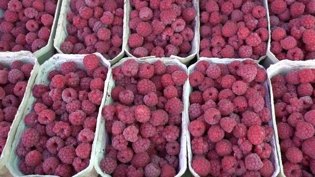 berries of a raspberry