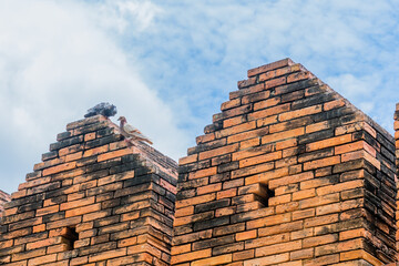 Two pigeons on top of brick wall