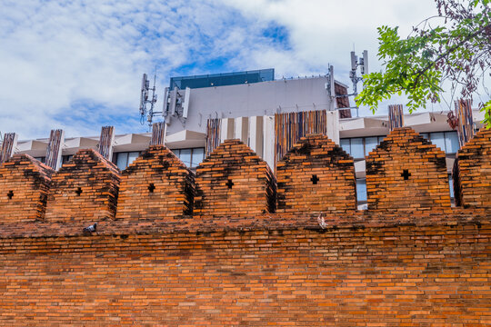 Pigeons on brick wall.