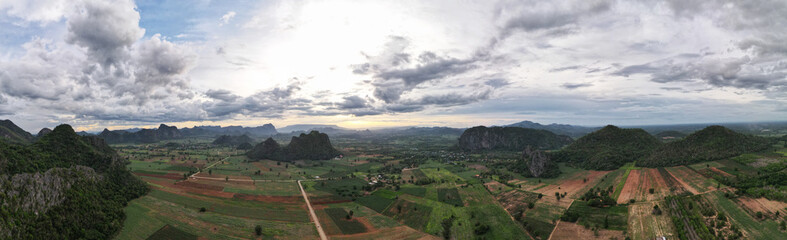 Landscape mountain tree green clouds background, Panorama view.