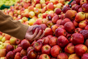 A lot of ripe juicy apples on the counter in the store. Diet and healthy eating. Top view.