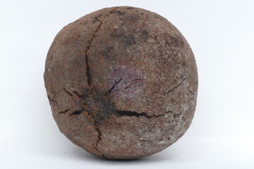 Castanha do Para in front white background, the fruit of the tree in the family Lecythidaceae...