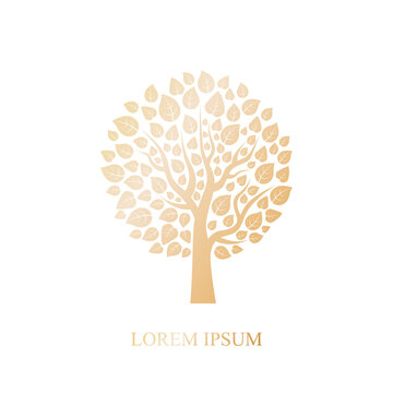 Vector gold tree logo company isolated on white background.