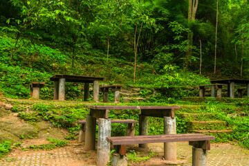 Wooden picnic tables in forest