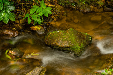 Long exposure of small stream
