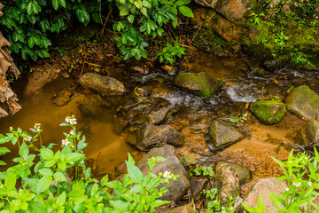 Small stream running over rocks