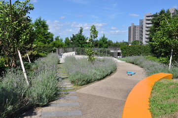 大規模マンション　空中庭園
