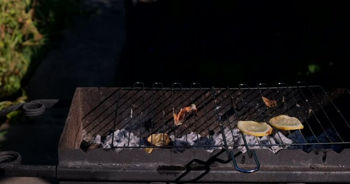 BBQ Fish. Cooking seafish with aromatic spices on barbecue grill plate. Sea bass or grouper fish grilled over charcoal. Baking roasting marinated delicious seafood in summer garden outdoors 4K