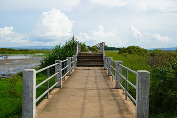 Obraz premium wooden bridge over the lake