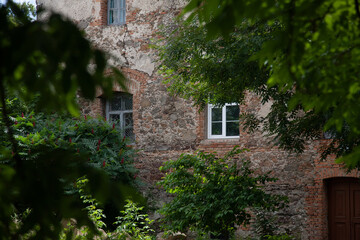 
Old fortress (castle) wall with different new and old windows behind tree branches