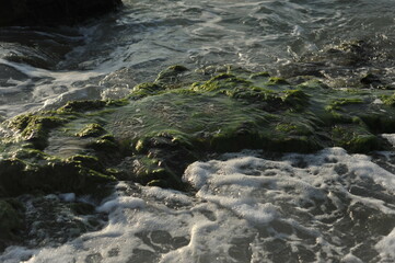 sea 
beach
ocean
summer
waves