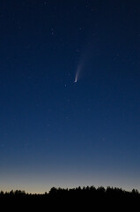 View Of The C/2020 F3 (Neowise) Comet Close-Up At Night Among The Stars.