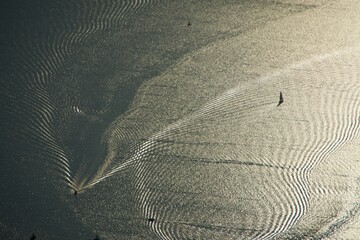 Wellenlinien durch Schiffe auf dem Bodensee im abendlichen Sonnenlicht