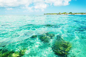 Naklejka na ściany i meble View on island and turquoise water in Zanzibar at sunny day