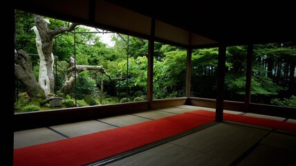 宝泉院 #KYOTO