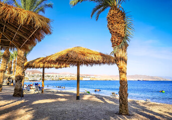 Tropical beach with palm trees at the Red Sea, Middle East