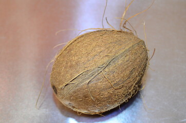 coconut with reflection and shadow on metallic silver gray shiny backdrop