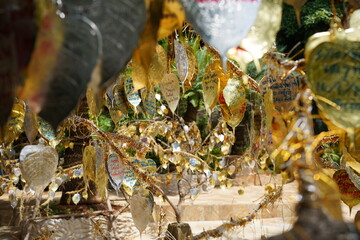 water drops on the tree