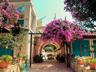 Typical greek pictorial courtyard with flowering tree Bougainvillea, Greece. A picturesque Greek courtyard with a Greek flag. Postcard