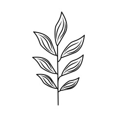 thin branch with small leaves on white background