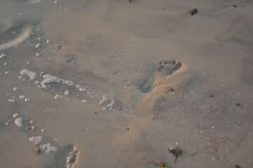 sea sunset wave sky water