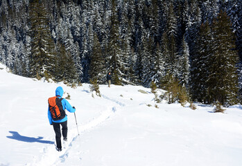 Fototapeta na wymiar Young woman trekking in winter in the Transylvanian Alps, Romania
