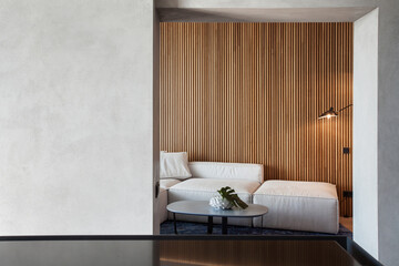 Modern house with contemporary interior design in living room