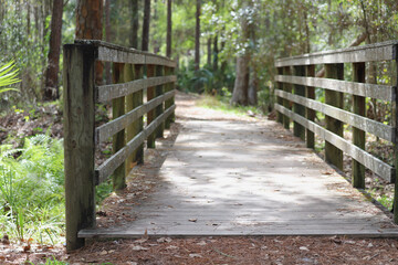 Wooden bridge on nature trail