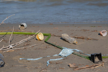 Plastic pollution on Danube River coastline in Danube Biosphere Reserve. Coronavirus is...