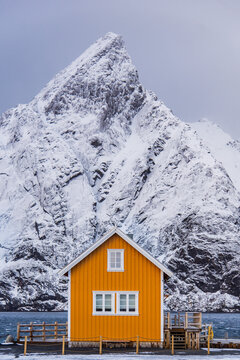 Yellow House Lofoten 