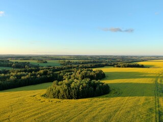 landscape with green fields and blue sky