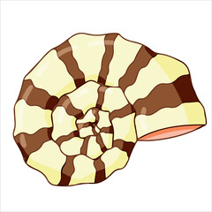 beautiful seashell vector illustration isolated on white background