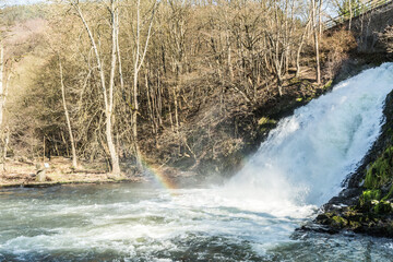 Abundant flow of water in Coo waterfalls on the Ambleve river with a rainbow reflected on the water, surrounded by leafless trees, sunny winter day in Belgium