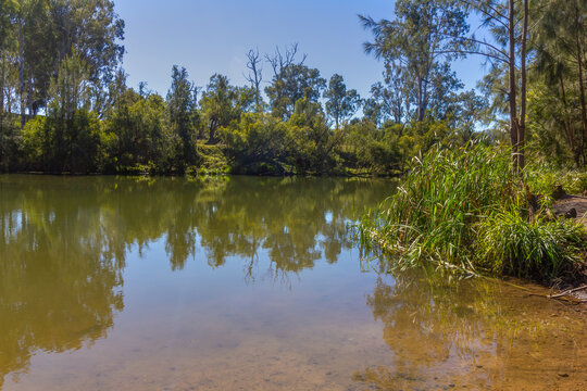 Twin Bridges Ipswich Queensland Swimming Hole