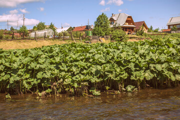 Obraz premium incredible beauty of the nature of the Urals, the banks of the Chusovaya river