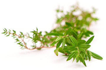 Rosemary, Thyme, fresh herbs isolated on white with blurred background