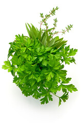 Parsley, Celery, Sage, Thyme, fresh leaves isolated on white background