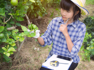 Close up gardener woman with File folder and tape measure, mobile She is analyzing the growth of lime.
