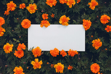 White paper poster with copy space on flowerbed. Blank template sheet without inscription in flowers