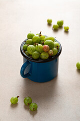 Close up of green fresh gooseberries in blue cup, healthy homegrown berry